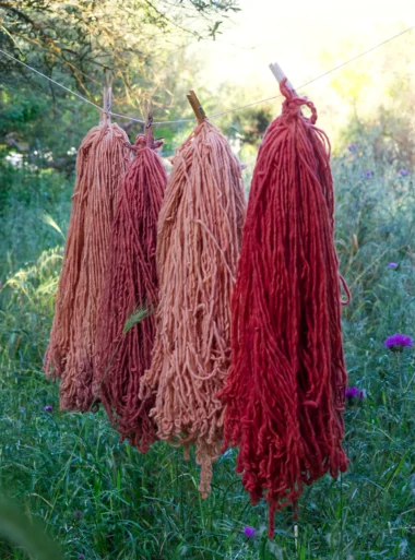 wool yarn 2 Small batch plant dyed wool yarn hanging outdoors